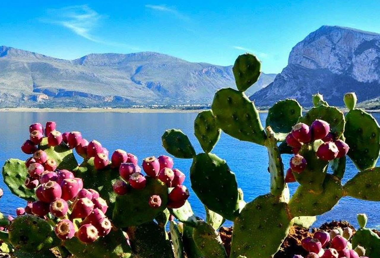Bed And Breakfast Sapore Di Sale Trapani Bagian luar foto